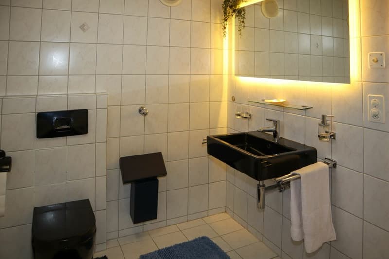 Vaste maison de famille 6 1/2 pièces avec petite annexe (19)