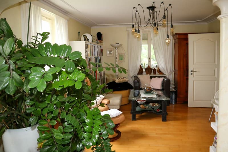 Vaste maison de famille 6 1/2 pièces avec petite annexe (9)