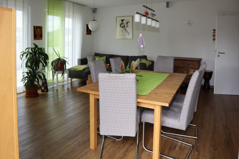 Great 6 1/2 room single-family house with additional 2-room apartment (wheelchair accessible) in a very quiet and sunny location (7)