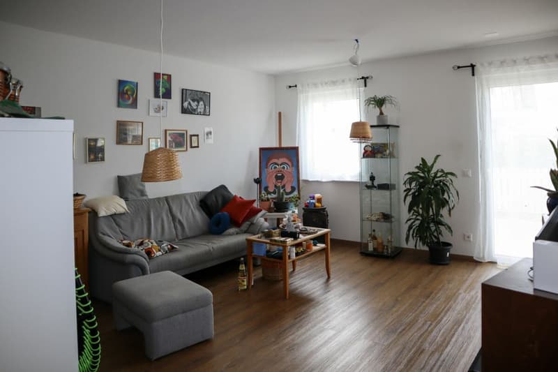 Great 6 1/2 room single-family house with additional 2-room apartment (wheelchair accessible) in a very quiet and sunny location (12)