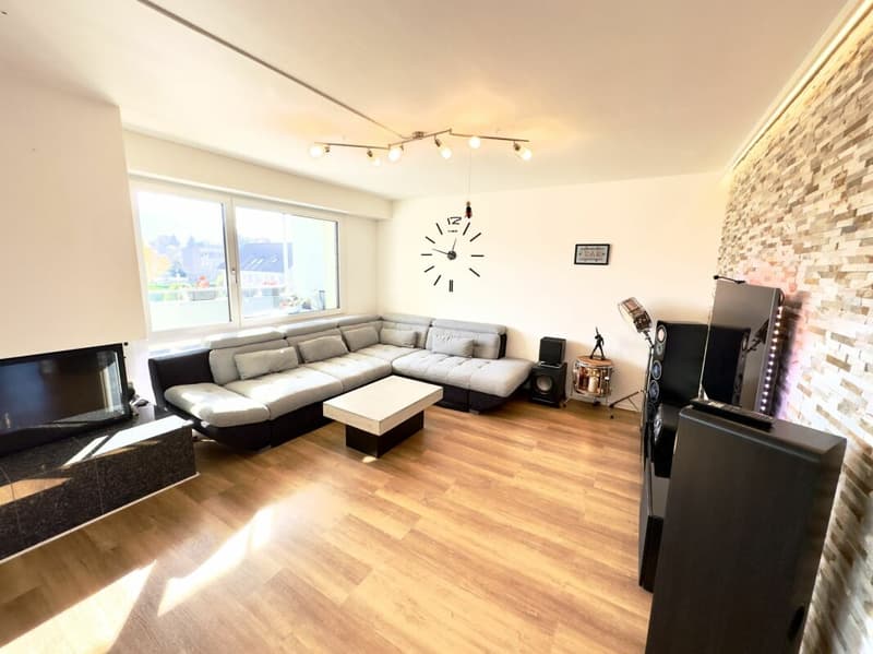Great 4 1/2 room apartment in sunny Möhlin (1)