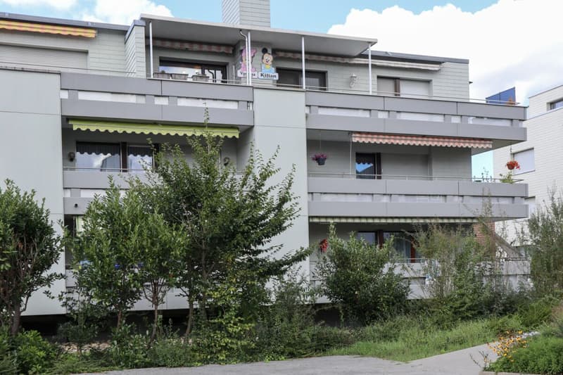 Great 4 1/2 room apartment in sunny Möhlin (4)