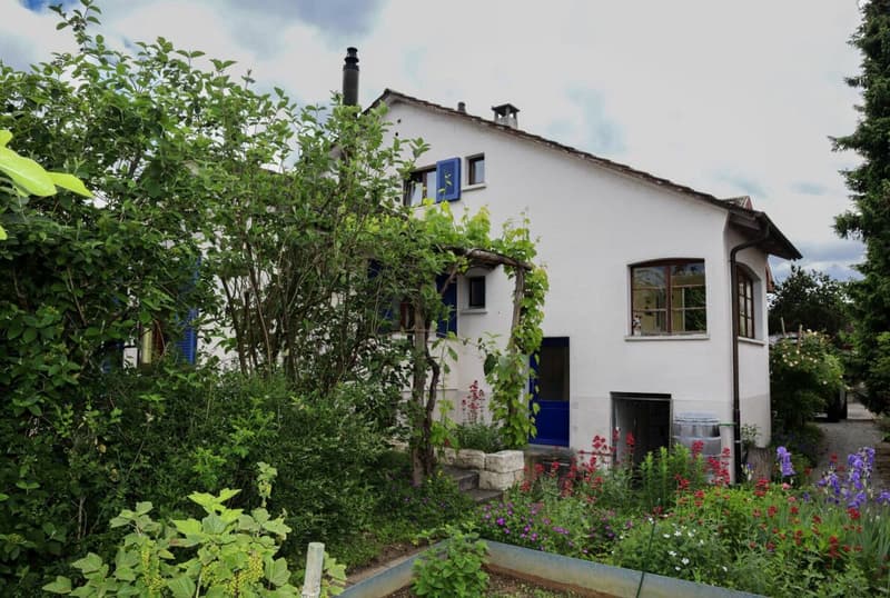 6 - Bedroom Single-Family House in a Very Quiet and Sunny Location (3)