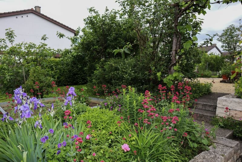 6 - Bedroom Single-Family House in a Very Quiet and Sunny Location (5)