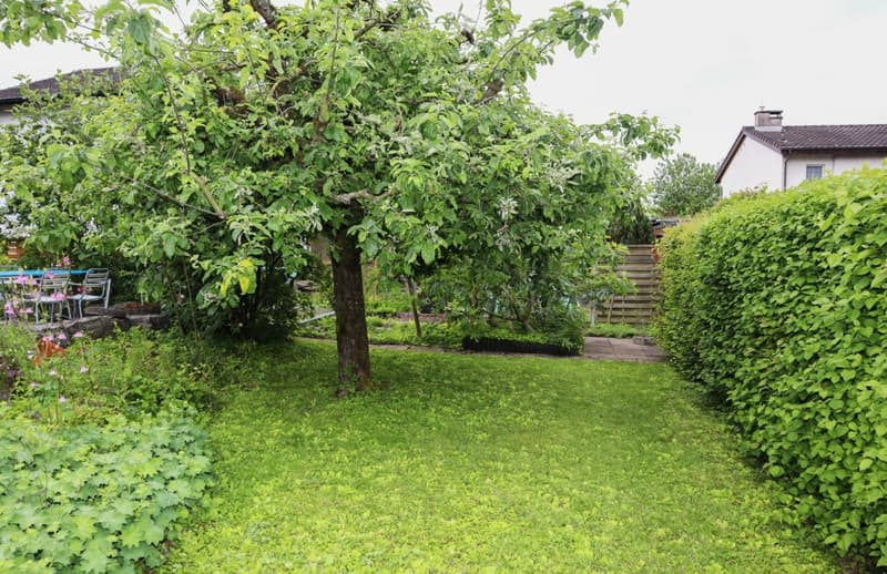 Emplacement très calme et ensoleillé : maison unifamiliale de 6 pièces (5)