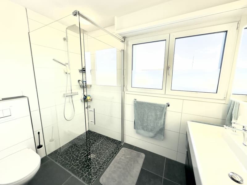 4 1/2 Zimmerwohnung im sonnigen Möhlin (10)