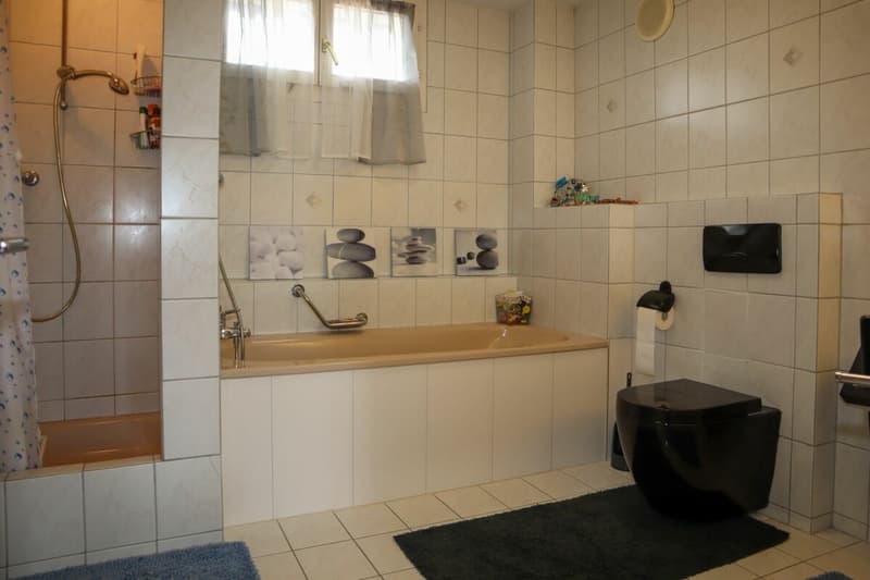 6 1/2 Zimmer-Einfamilienhaus mit kleiner Einliegerwohnung (20)
