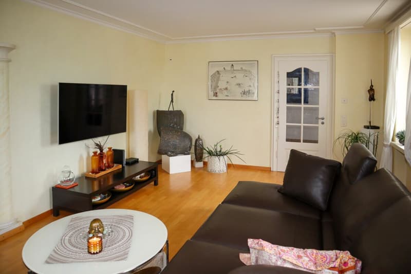 6 1/2 Zimmer-Einfamilienhaus mit kleiner Einliegerwohnung (9)