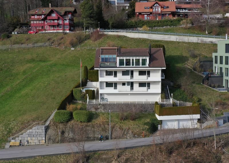 Large Family Villa On The Hills Of Unterägeri (2)