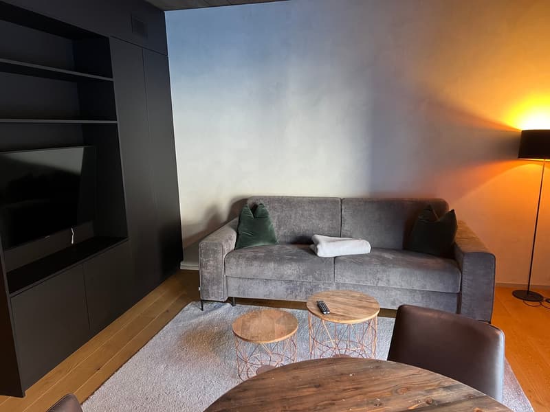 Wunderschönes Studio im Apartmenthaus Eisvogel (5)