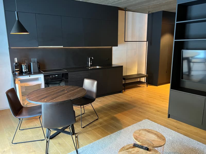 Wunderschönes Studio im Apartmenthaus Eisvogel (4)