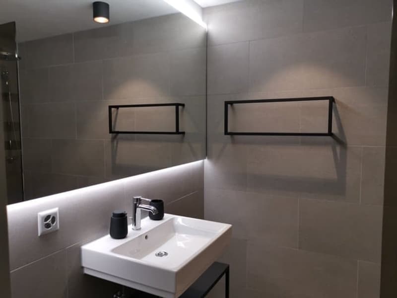 Wunderschönes Studio im Apartmenthaus Eisvogel (8)