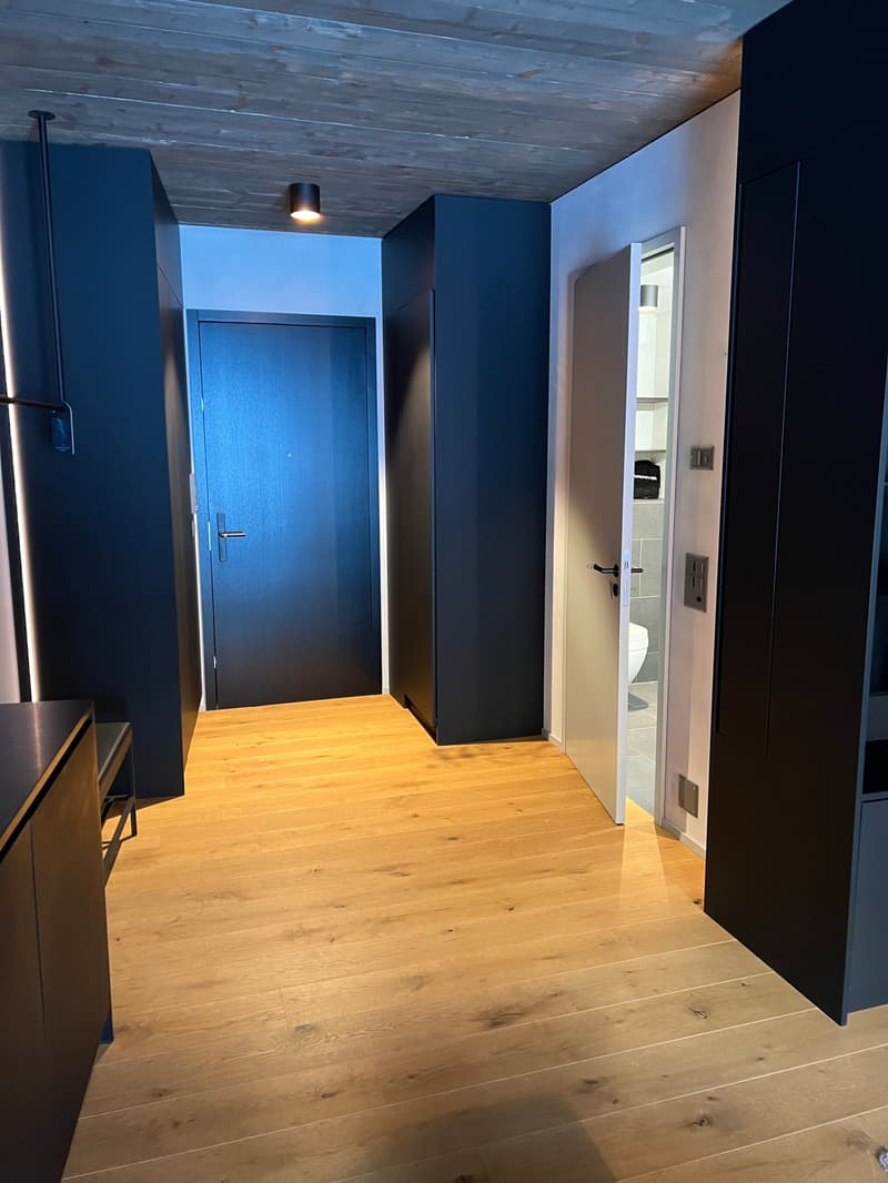 Wunderschönes Studio im Apartmenthaus Eisvogel (6)