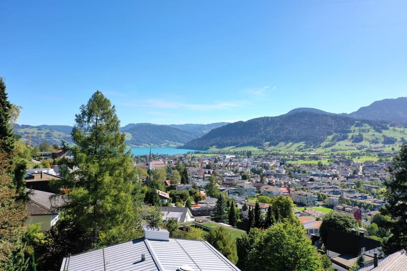 Rare Development Opportunity in a Prime Unterägeri Location (1)