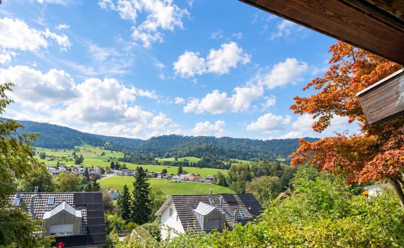 Rare Development Opportunity in a Prime Unterägeri Location (2)
