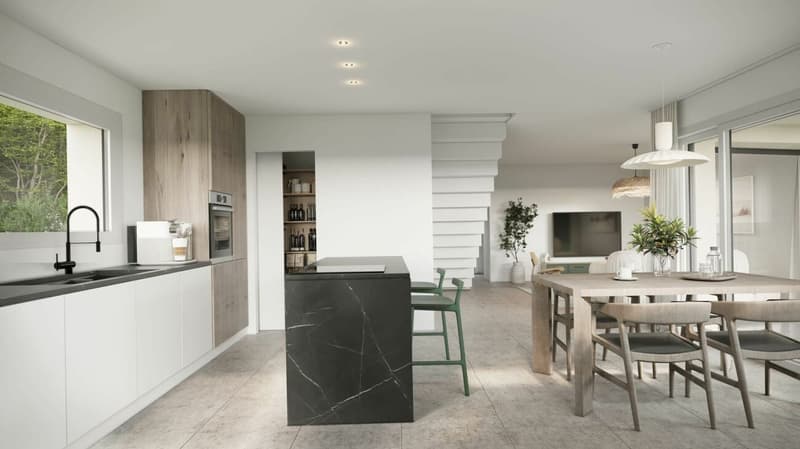More than 2 villas! New promotion of 5 individual villas in Remaufens (2)