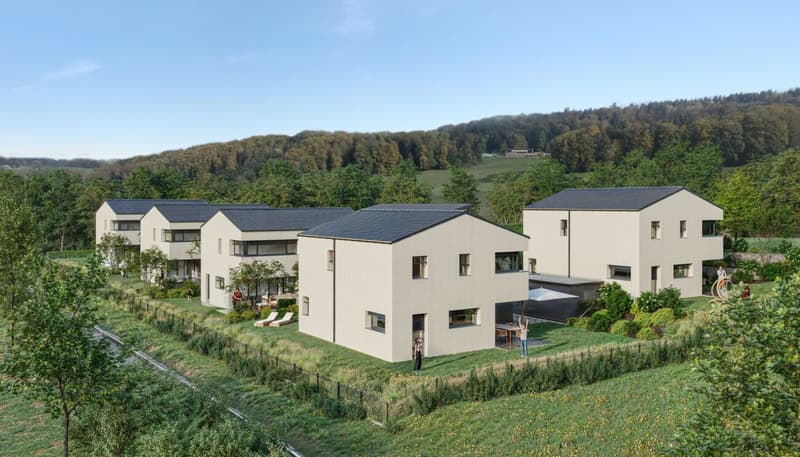 More than 2 villas! New promotion of 5 individual villas in Remaufens (5)