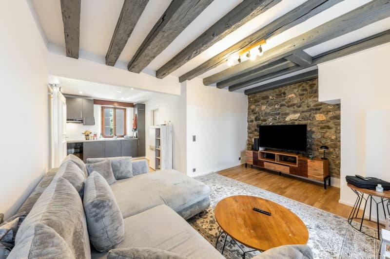 Deliziosa casa di villaggio completamente ristrutturata a Blonay (9)