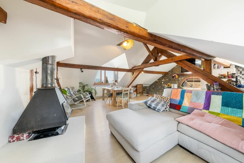 Deliziosa casa di villaggio completamente ristrutturata a Blonay (2)