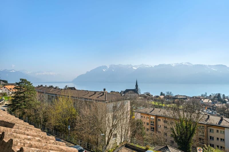 3,5 Zimmer mit Panoramablick auf See & Berge (1)