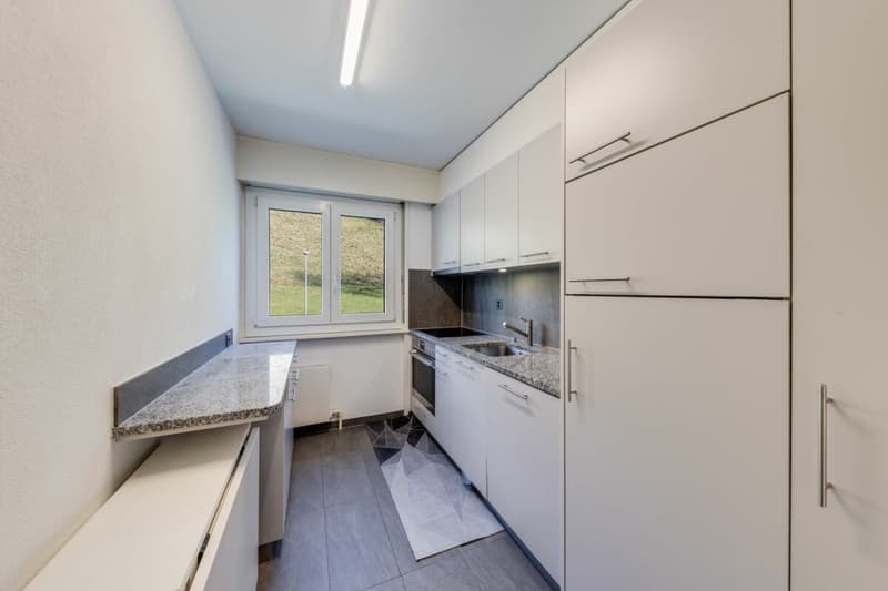 Bello appartamento ristrutturato di 3,5 locali con magnifica vista sul lago (2)
