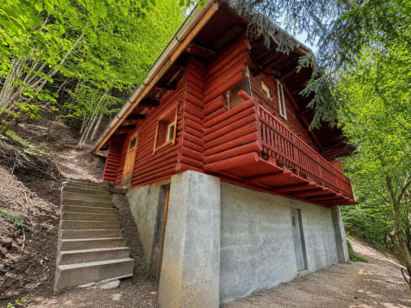 Authenticity in the heart of a forest estate of over 15'000 m² (1)