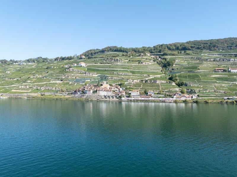Une maison villageoise de caractère avec vue sur le lac (6)
