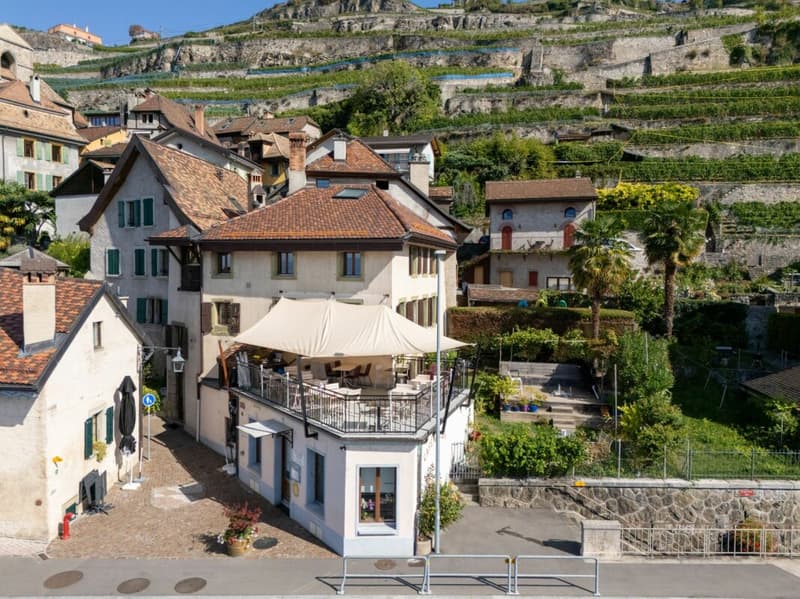Une maison villageoise de caractère avec vue sur le lac (16)