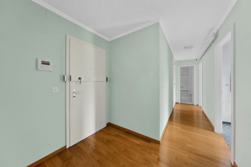 Appartement de 3 pièces avec vue sur le lac (4)