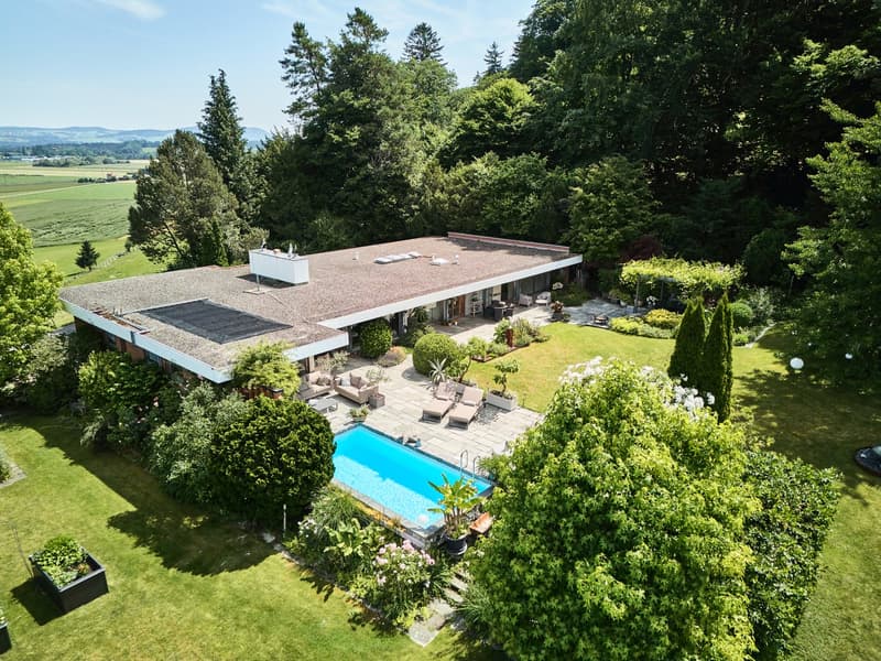 Modern house with flat roof, large swimming pool, garden, and solar panels