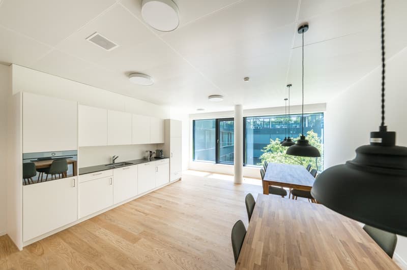 Espaces de bureau attractifs dans le D4 Business Village Lucerne (5)