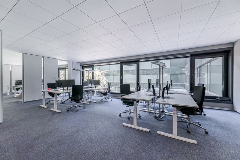 Spazi aziendali attraenti nel D4 Business Village Lucerna (5)