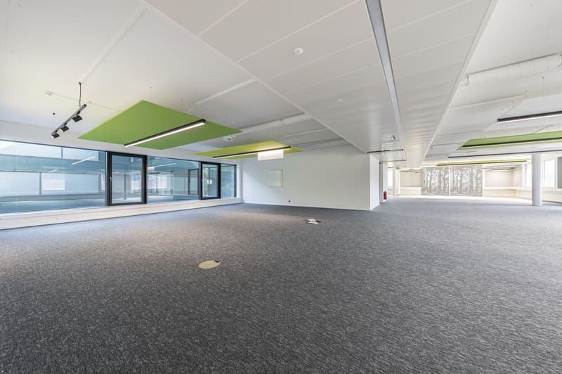 Spazi aziendali attraenti nel D4 Business Village Lucerna (10)