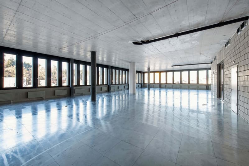 Spazi aziendali attraenti nel D4 Business Village Lucerna (12)