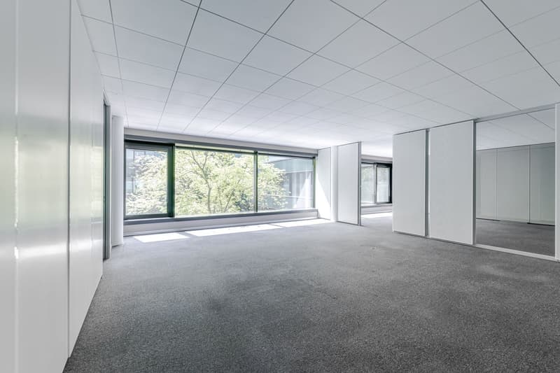 Spazi aziendali attraenti nel D4 Business Village Lucerna (7)