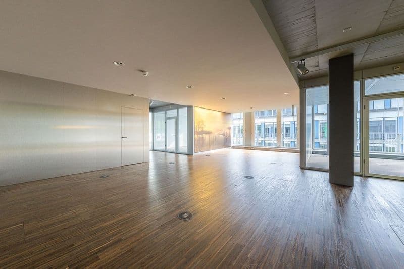 Spazi aziendali attraenti nel D4 Business Village Lucerna (11)