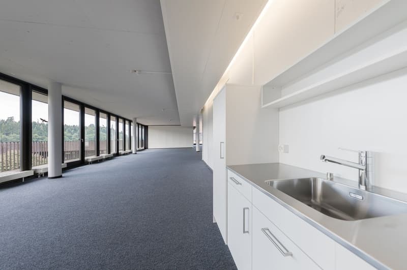 Spazi aziendali attraenti nel D4 Business Village Lucerna (14)