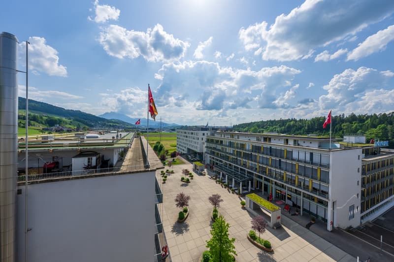Spazi aziendali attraenti nel D4 Business Village Lucerna (3)