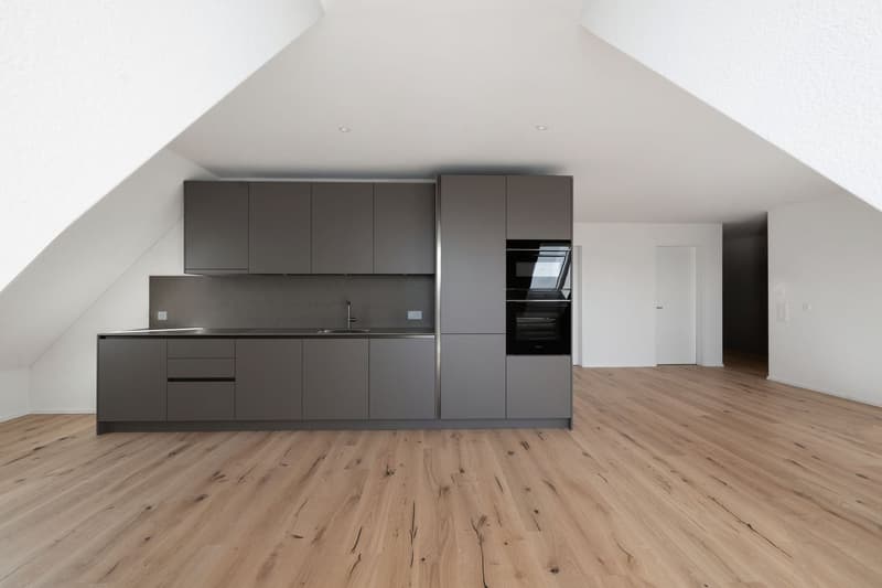 Wohnen mit eigener Dachterrasse – ein Traum über Zürich (13)