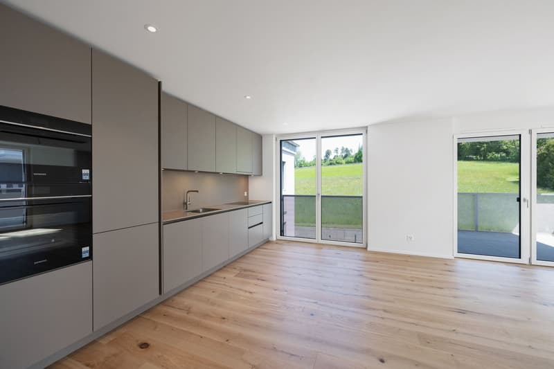 Wohnen mit eigener Dachterrasse – ein Traum über Zürich (6)