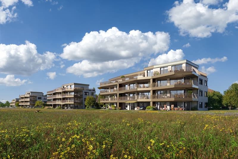 Moderne 4.5-Zimmer-Wohnung, Neubau in Eglisau - ruhig, & sonnig (5)