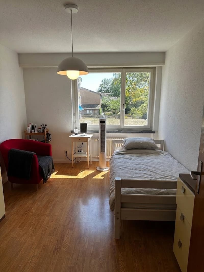 2.5 Zimmer Wohnung, ca. 40m2, zentral gelegen in Rafz (4)