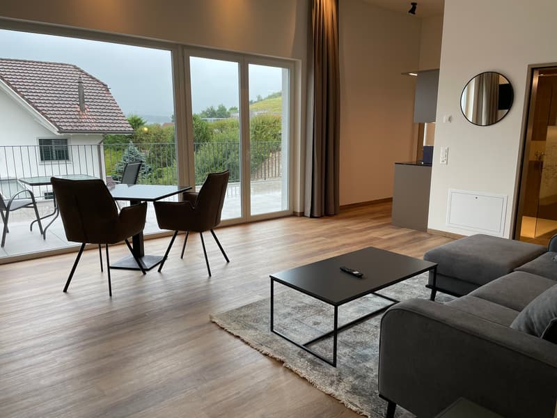 Service de location d'appartement mensuel (13)