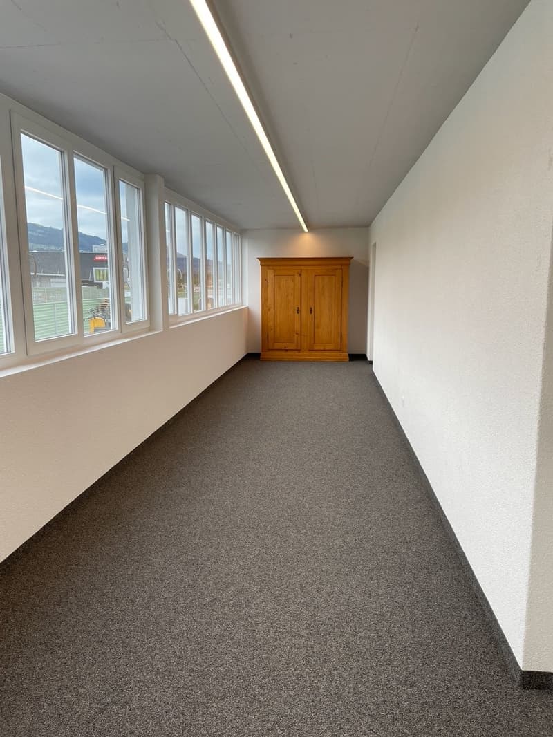 Empty room with carpet, windows, wooden cabinet, modern lighting