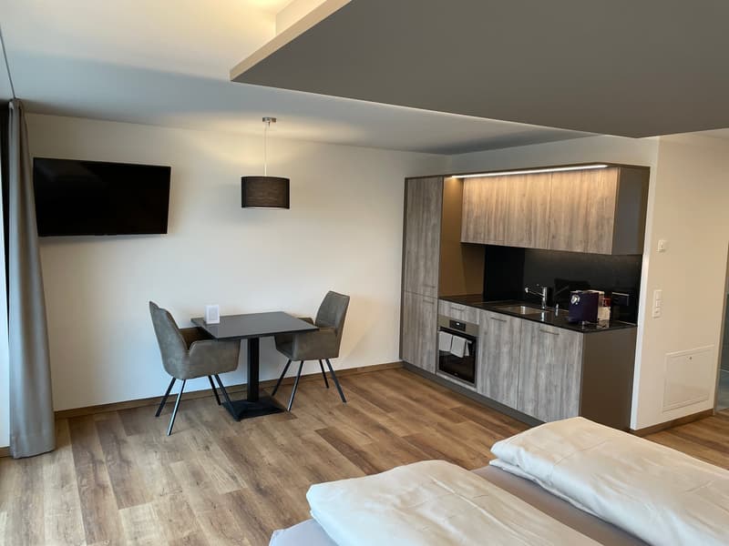 Compact apartment, modern kitchen with integrated appliances, double bed, table and chairs, flat screen TV, wooden floors.