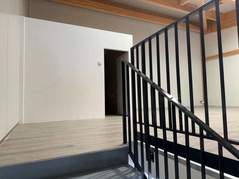 Vorankündigung: Neuere Gewerbehalle nächstens zu vermieten (6)