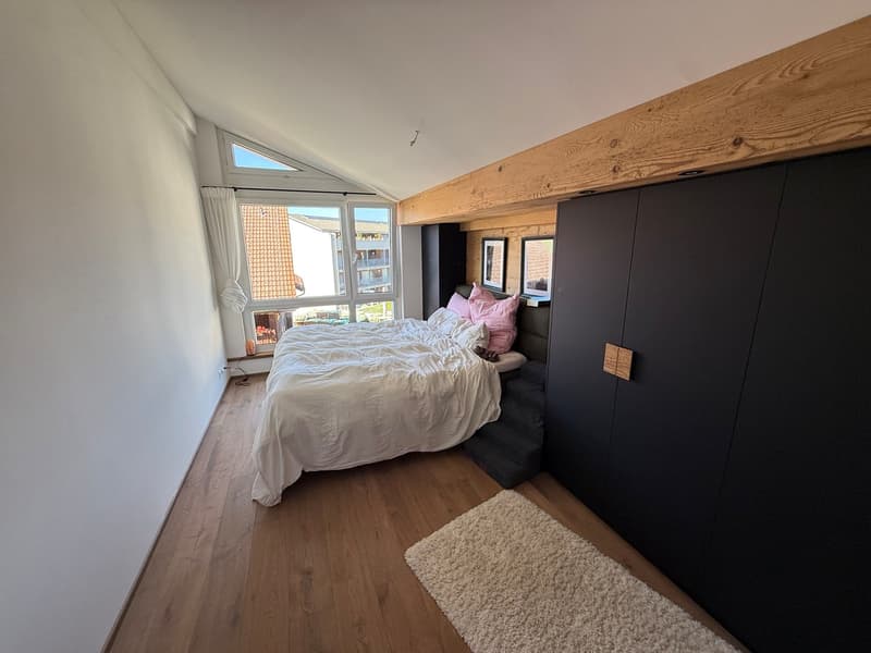 Attikawohnung am Sihlsee mit Sauna (8)