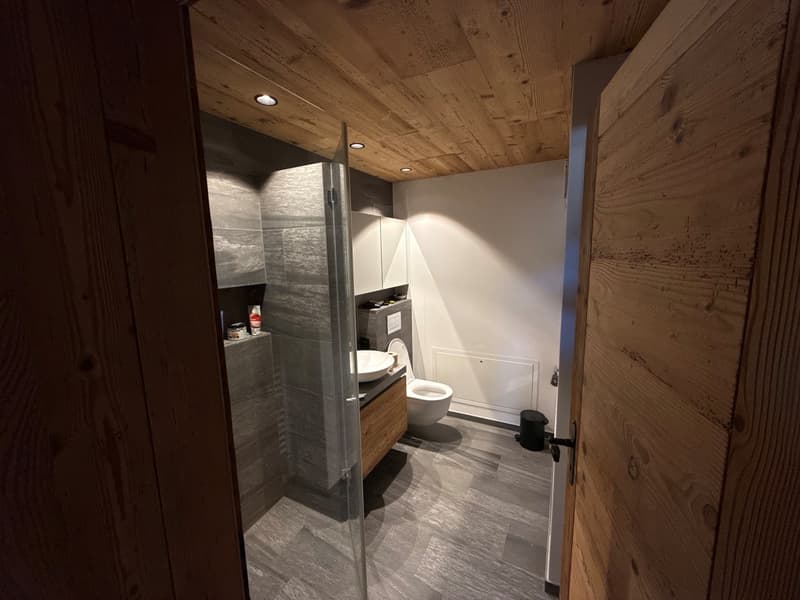 Attikawohnung am Sihlsee mit Sauna (5)