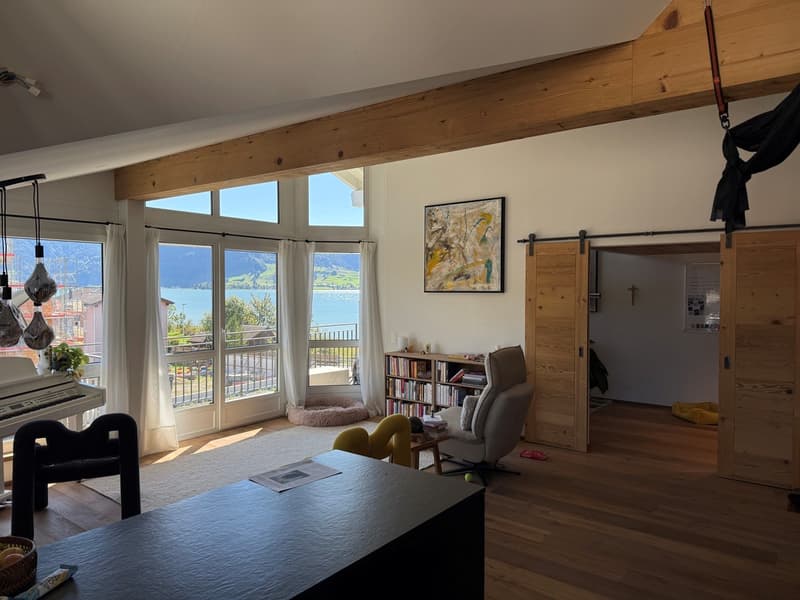 Attikawohnung am Sihlsee mit Sauna (6)