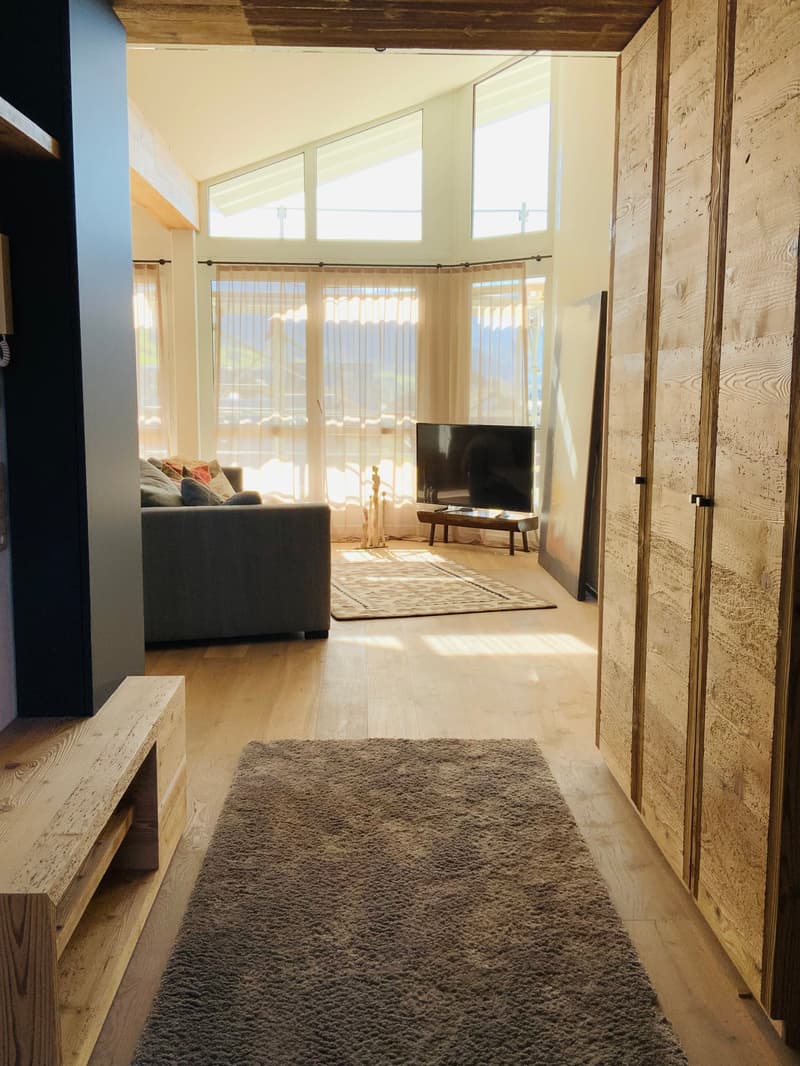 Attikawohnung am Sihlsee mit Sauna (1)